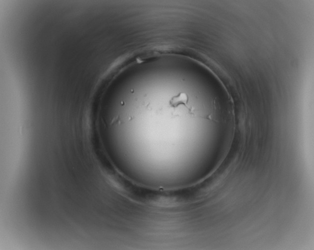 X0000114070256200910051344