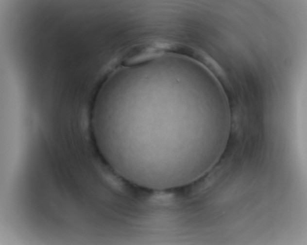 X0000114070257200910051344