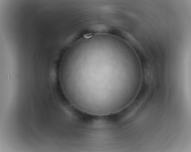 X0000114070259200910051344