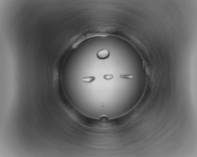 X0000114070260200910051344