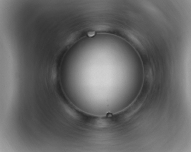 X0000114070261200910051344