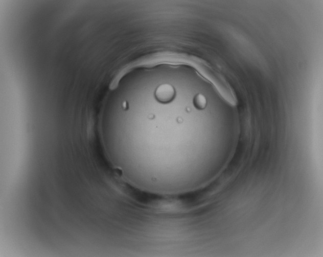 X0000114070266200910051344