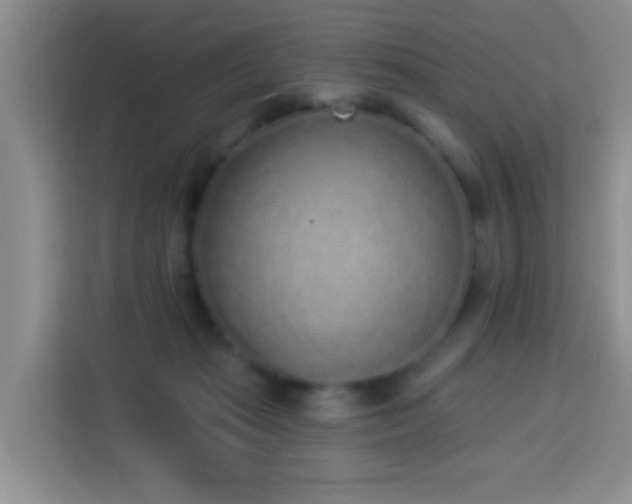 X0000114070269200910051344