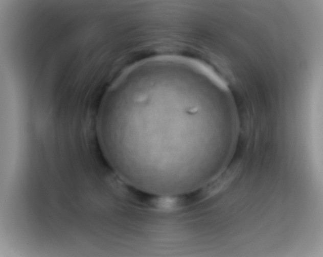 X0000114070273200910051344