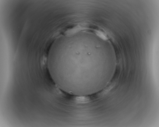 X0000114070281200910051344