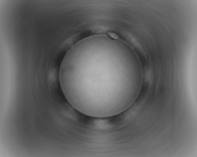 X0000114070283200910051344