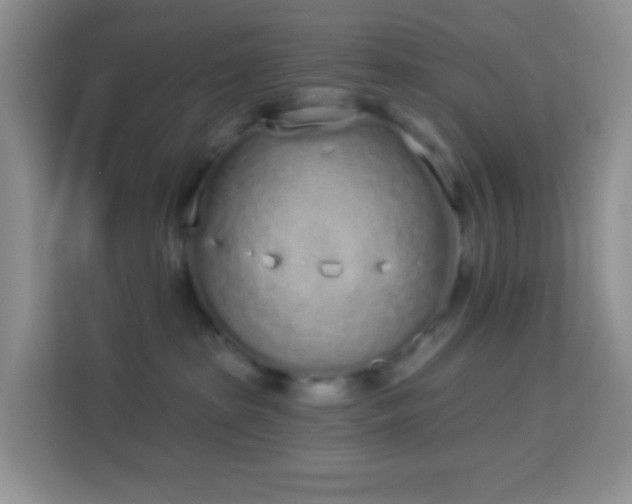 X0000114070285200910051344