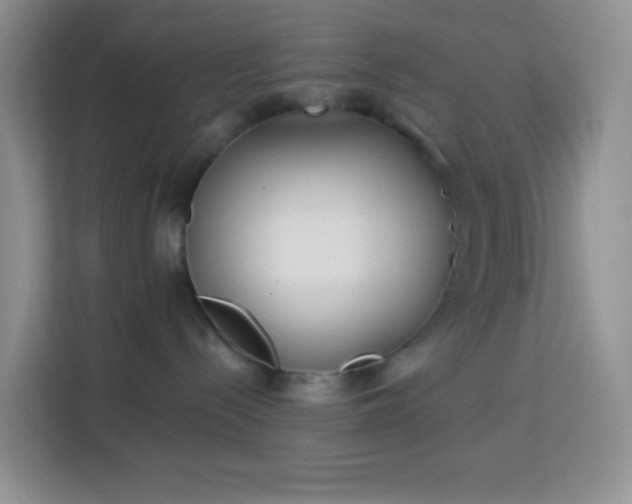 X0000114070288200910051344