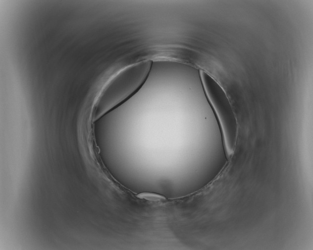 X0000114070289200910051343