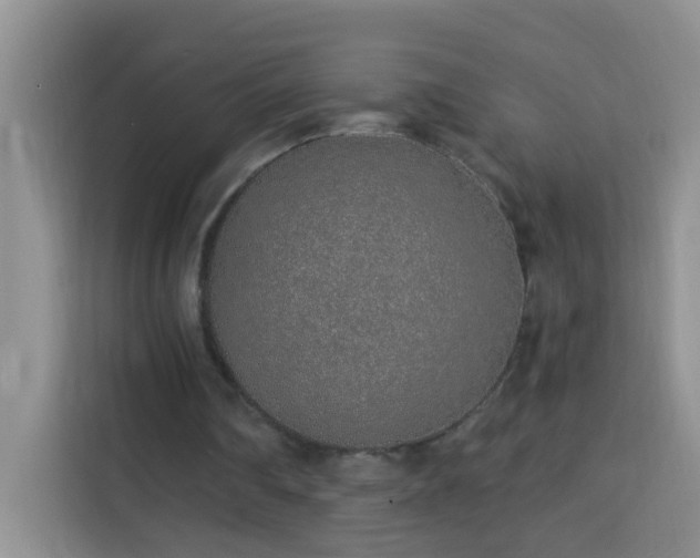 X0000114070290200910051343