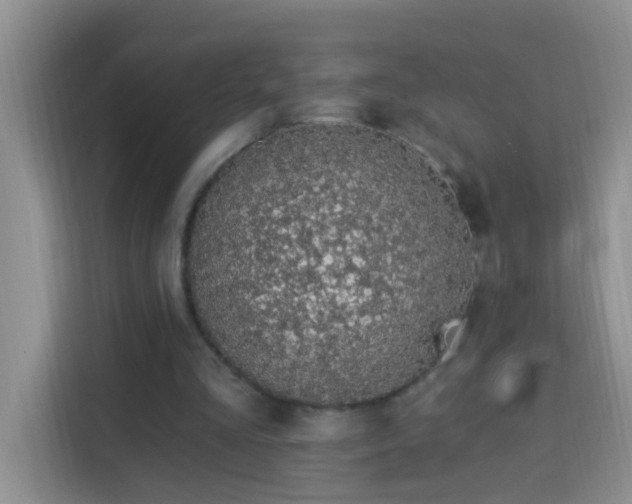 X0000114070293200910051343