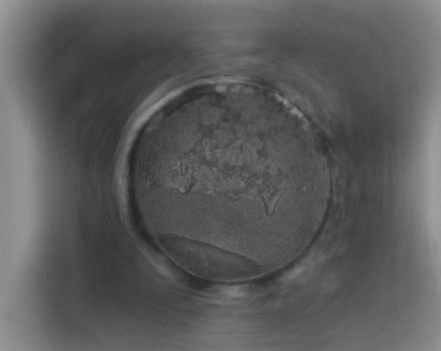 X0000114070295200910051343