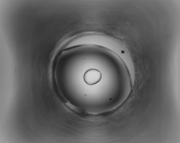 X0000114070296200910051343