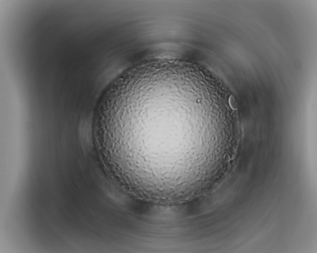 X0000114070297200910051343