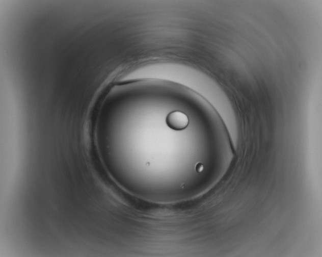 X0000114070300200910051343