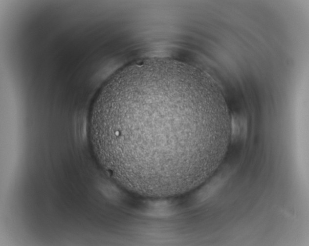 X0000114070301200910051343