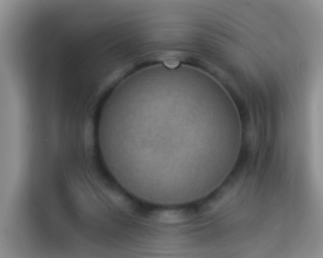 X0000114070303200910051343