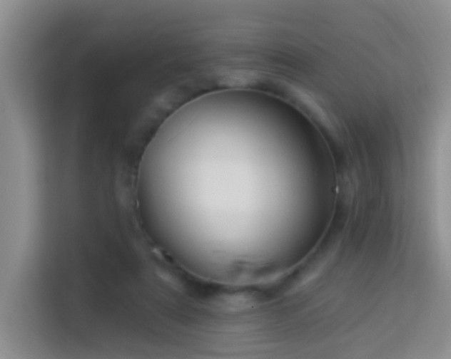 X0000114070307200910051343