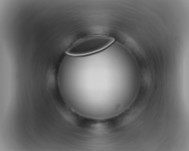 X0000114070312200910051343