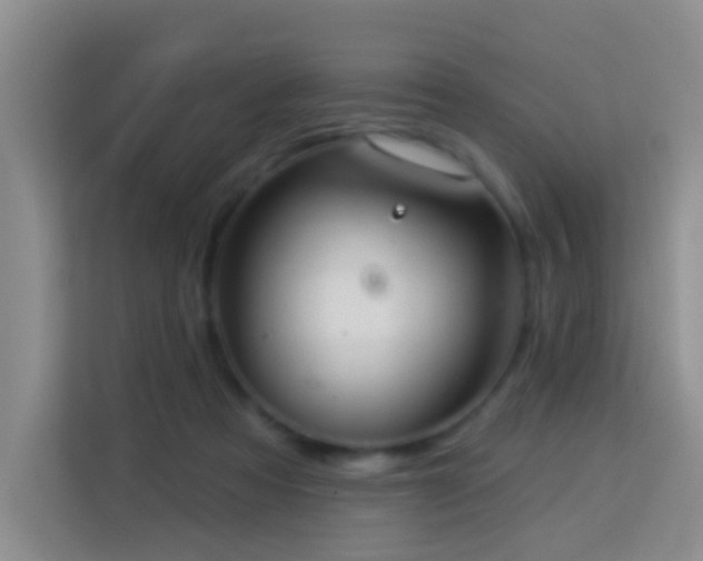 X0000114070313200910051343