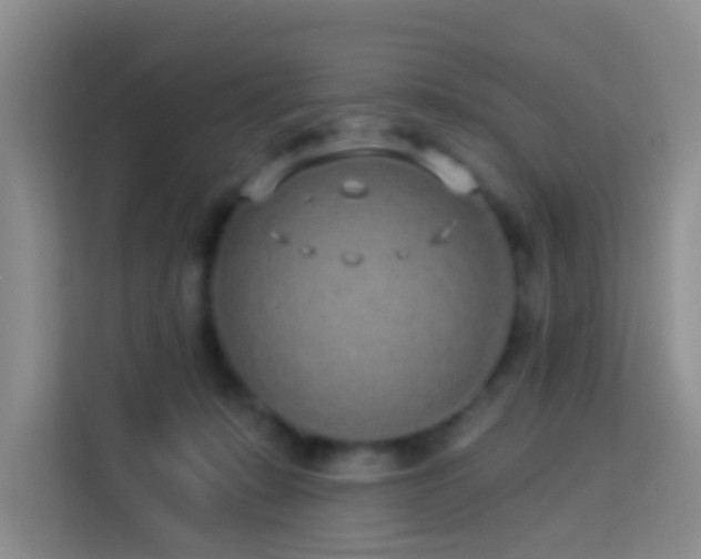 X0000114070319200910051343