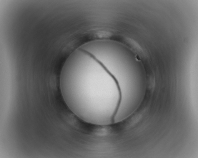 X0000114070321200910051343