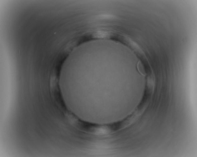 X0000114070322200910051343