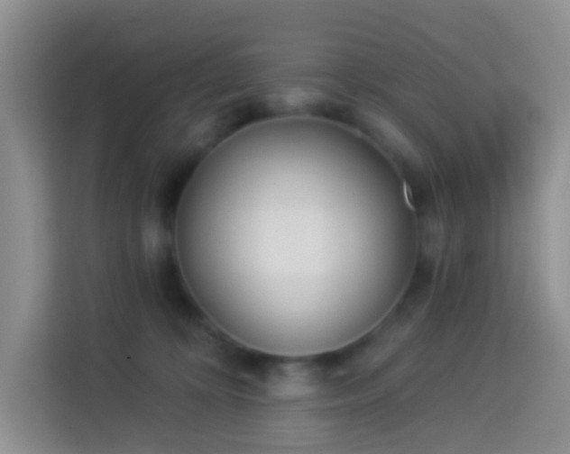 X0000114070324200910051343