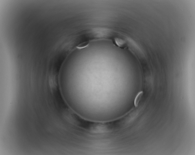 X0000114070325200910051343