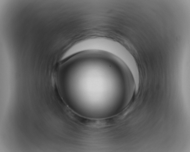 X0000114070329200910051343