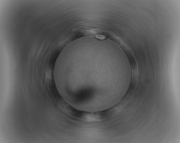 X0000114070331200910051343