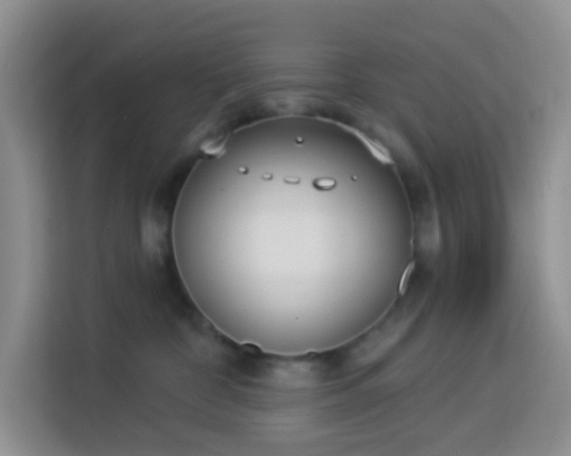 X0000114070332200910051343