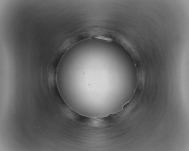 X0000114070333200910051343