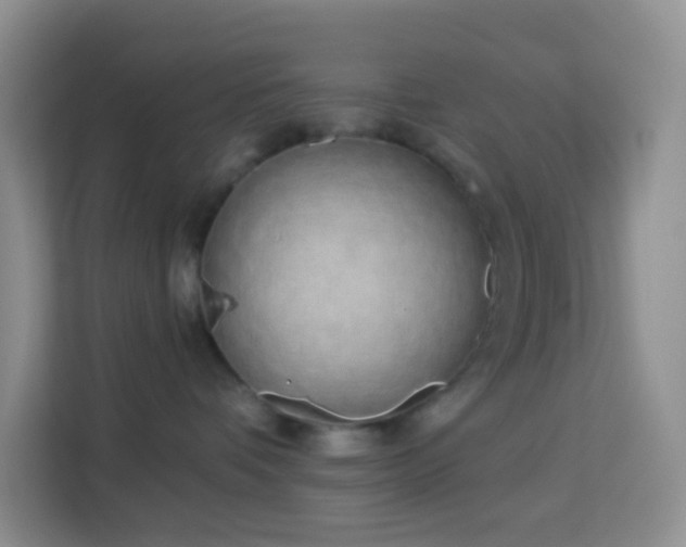 X0000114070336200910051343