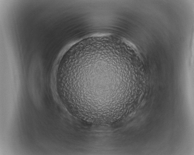 X0000114070337200910051342