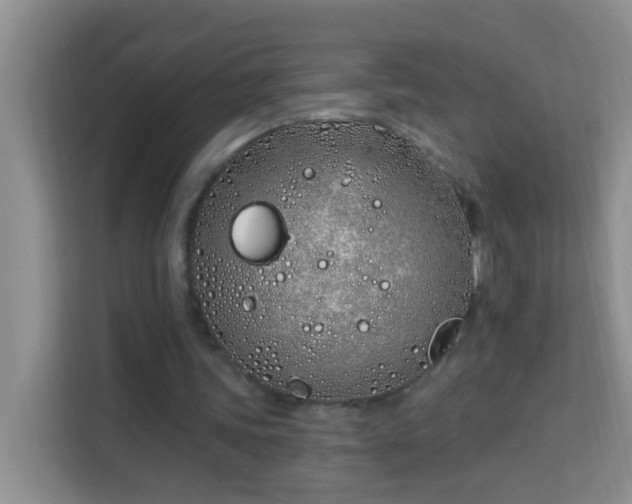 X0000114070339200910051342