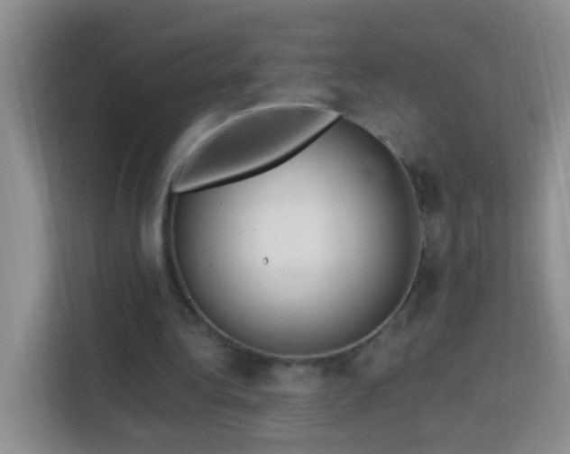 X0000114070340200910051342