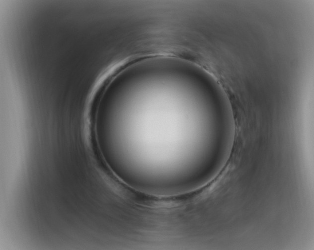 X0000114070342200910051342