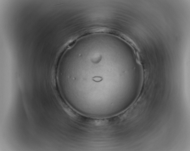 X0000114070345200910051342