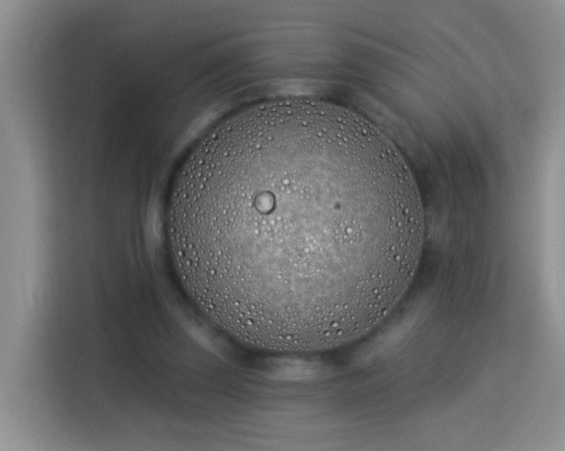 X0000114070347200910051342