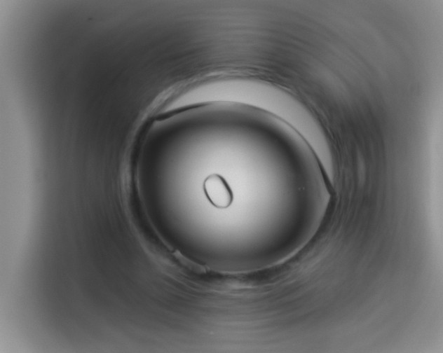 X0000114070348200910051342