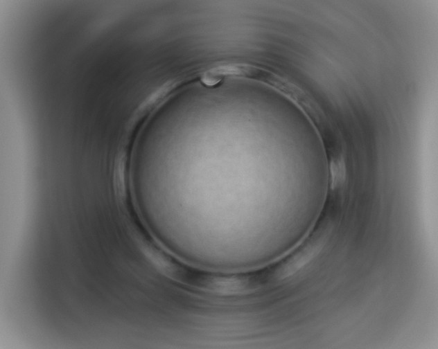 X0000114070349200910051342