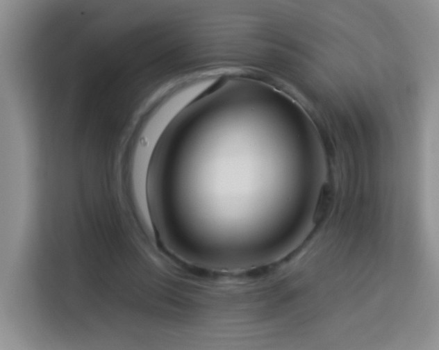 X0000114070350200910051342