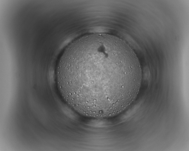 X0000114070351200910051342