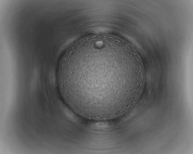 X0000114070353200910051342