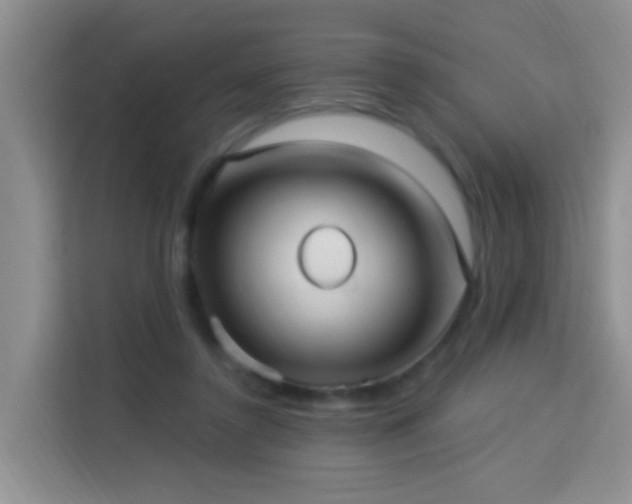 X0000114070356200910051342