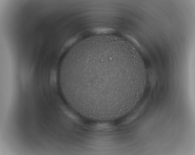 X0000114070357200910051343