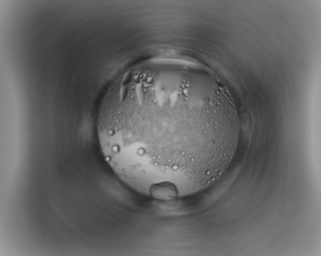 X0000114070359200910051343