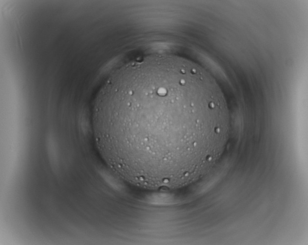 X0000114070361200910051343