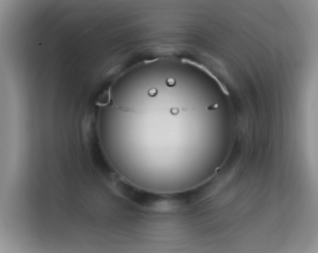 X0000114070364200910051343